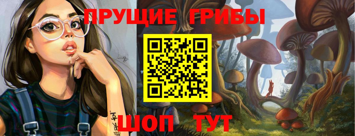 Псилоцибиновые грибы Psilocybine cubensis Елизово