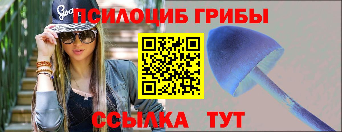 Елизово  Галлюциногенные грибы прущие грибы  Вход с VPN 