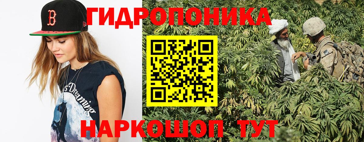 Бошки марихуана VHQ Елизово